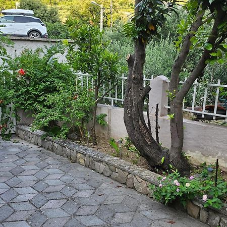 Studios Dolcek Krvavica Bagian luar foto